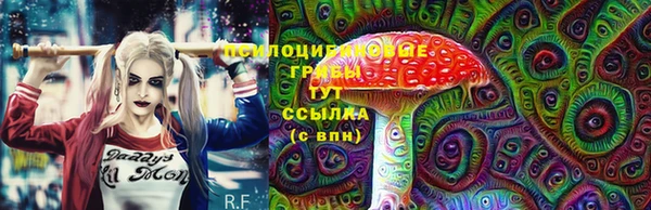 прущая мука Снежногорск