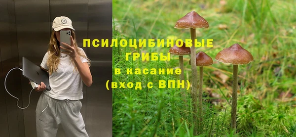 spice Слюдянка