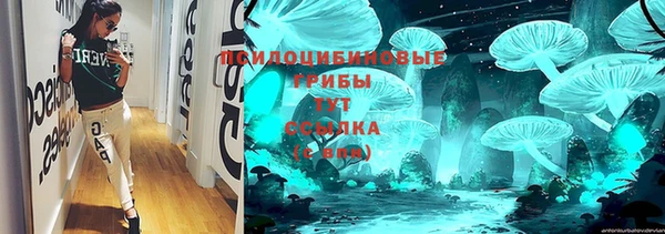 spice Слюдянка