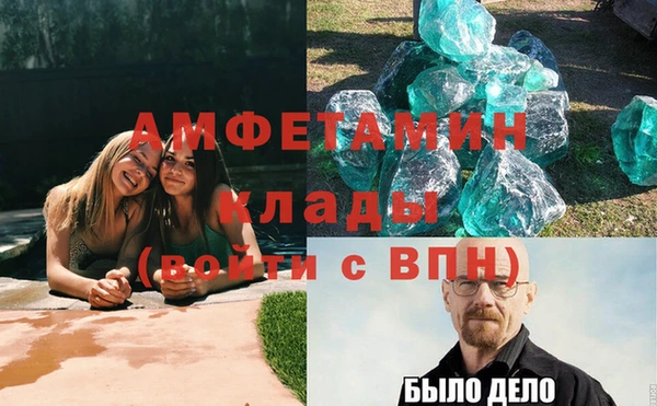 молекула духа Богородицк